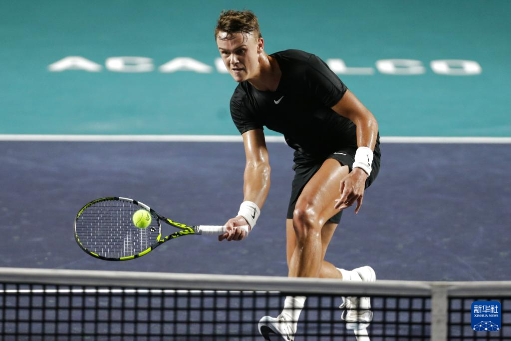 向新的高度 向新的高度